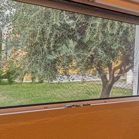 Daire Maslina Podgoriçe