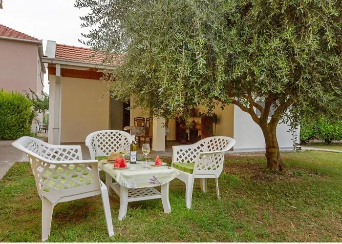 Maslina * Podgoriçe