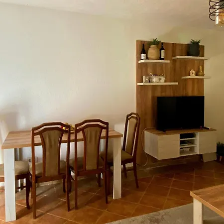 Maslina * Podgorica